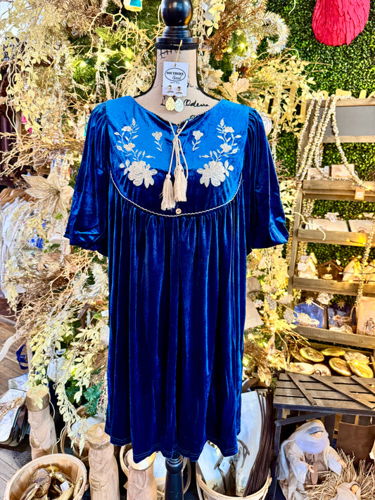 Arden Velvet Teal Dress