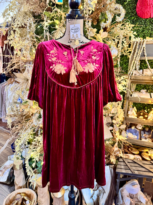 Arden Velvet Dress