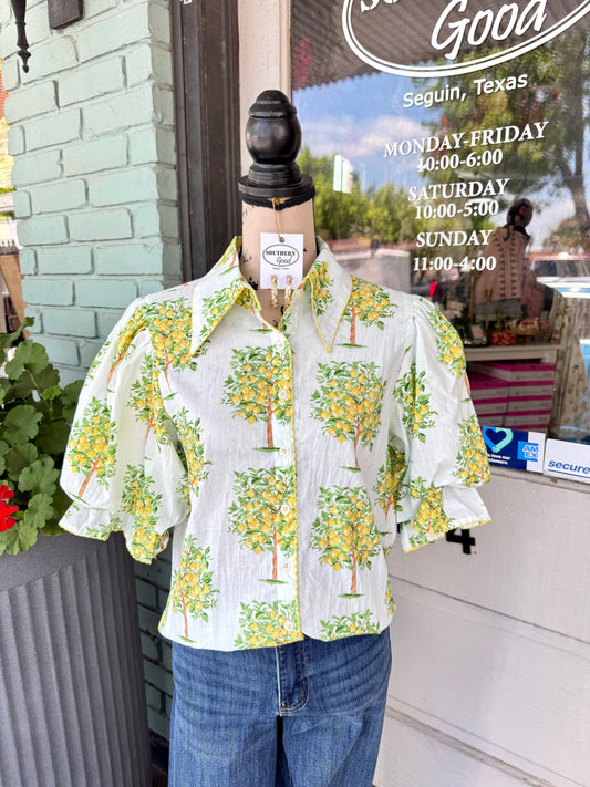 Lemon Tree Top
