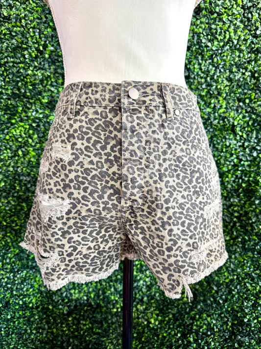 Nova Leopard Shorts