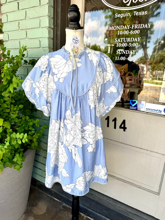 Cameron Blue Dress
